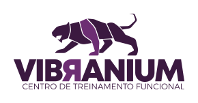 Logotipo Virganium Centro de Treinamento Funcional